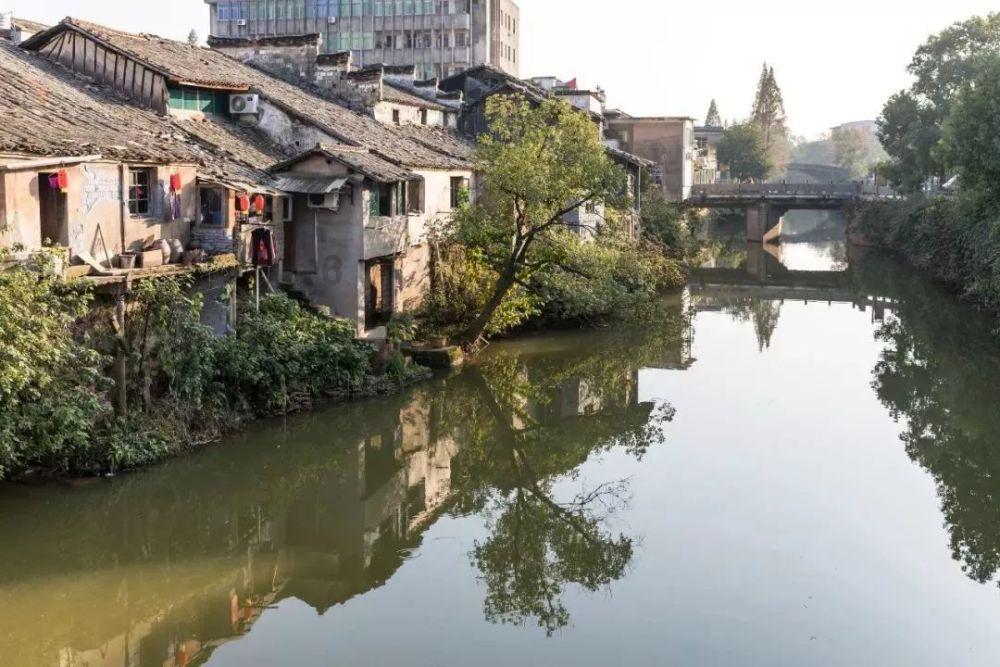 怎么能提高免疫力啊？